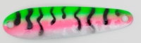 043 Pearl Trout