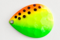 019 Watermelon