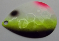 107 Leukocytes