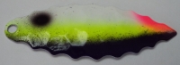 107 Leukocytes